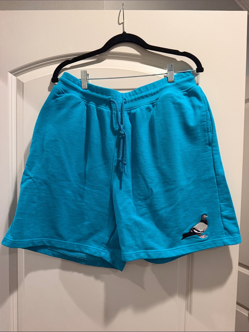 Turquoise Staple Pigeon Embroidered Mens Shorts. Worn 1 time!!